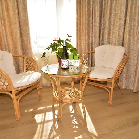 Luxury Apartment